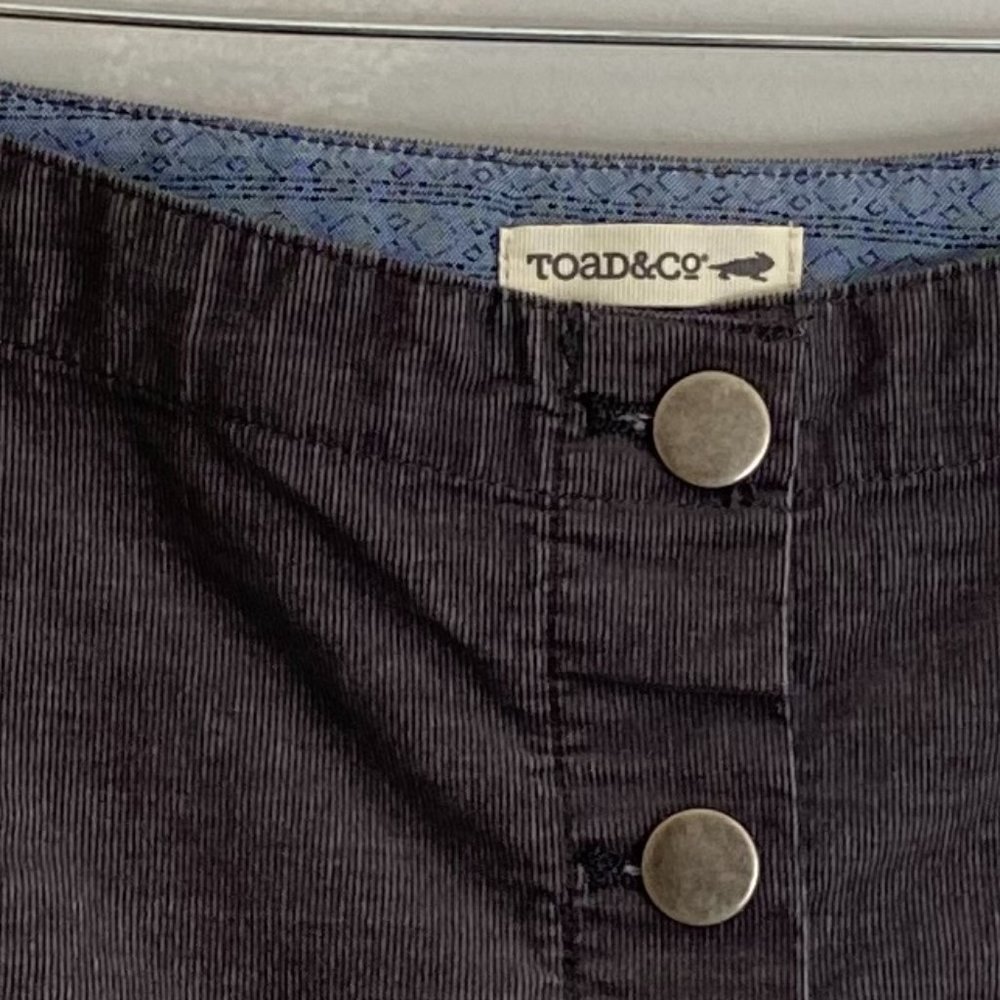 Grey Toad & Co. Skirt